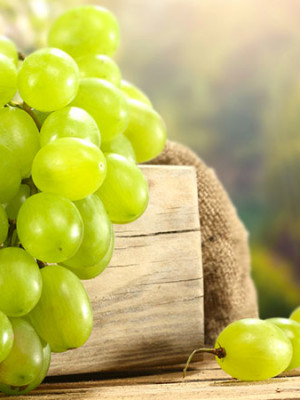 Moscato Bianco
